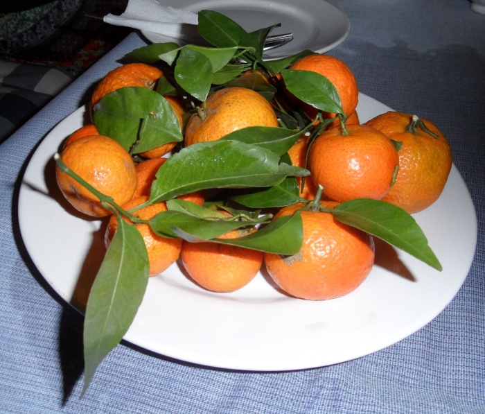 mandarinen im teller