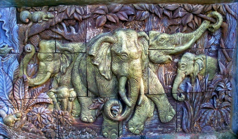elefantenbild